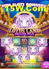 Experiência VIP M9 Game